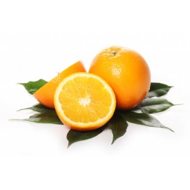 Oranges à jus  برتقال العصير