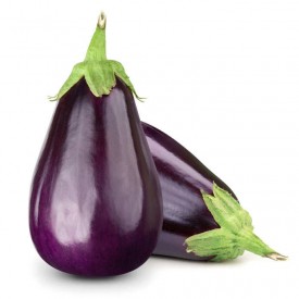 Aubergines  الباذنجان