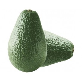 Avocat  الأفوكادو