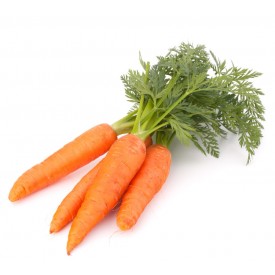 Carottes   الجزر